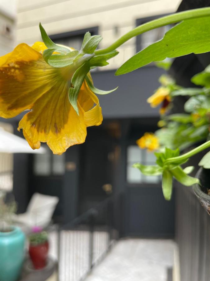 Villa Brown Tel-Aviv, A Member Of Brown Hotels エクステリア 写真